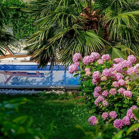 Pensión Palace Schoen Milesi - Esense Of Prestige - Private Pool - Free Parking - Old Money Style Luxury - Walking Distance To The Old Town, The And Amenities - Buralux 4*