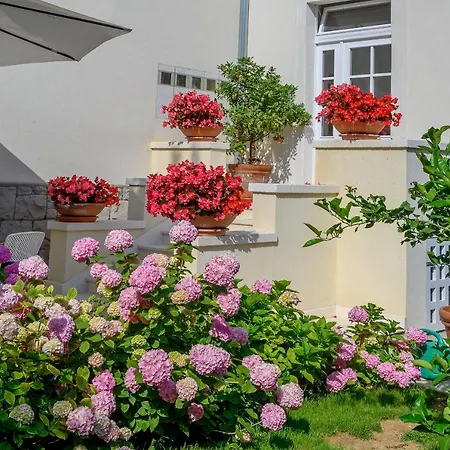 Palace Schoen Milesi - Esense Of Prestige - Private Pool - Free Parking - Old Money Style Luxury - Walking Distance To The Old Town, The And Amenities - Buralux Pensión Split