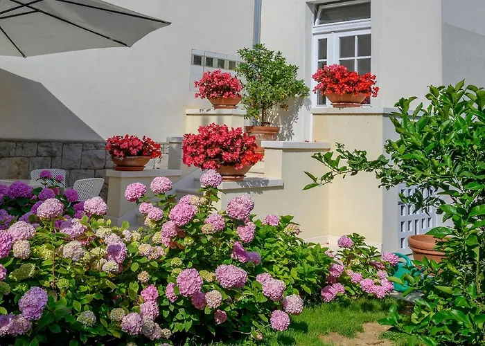 Palace Schoen Milesi - Esense Of Prestige - Private Pool - Old Money Style Luxury - Walking Distance To The Old Town, The And Amenities - Buralux 게스트하우스 스플리트